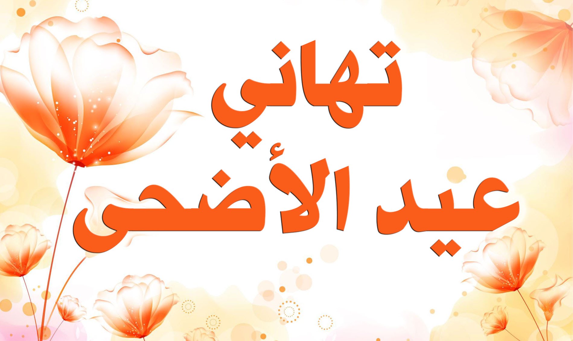 بطاقات تهنئة عيد الاضحى المبارك - كروت معايدة بالعيد السعيد 61 8