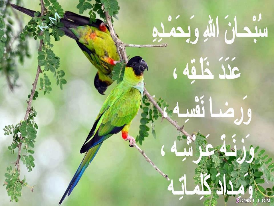 اجمل الصور الدينية - صور اسلاميه مميزه 1386 6