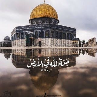 صور القدس - اجمل صور المسجد الاقصى 15851