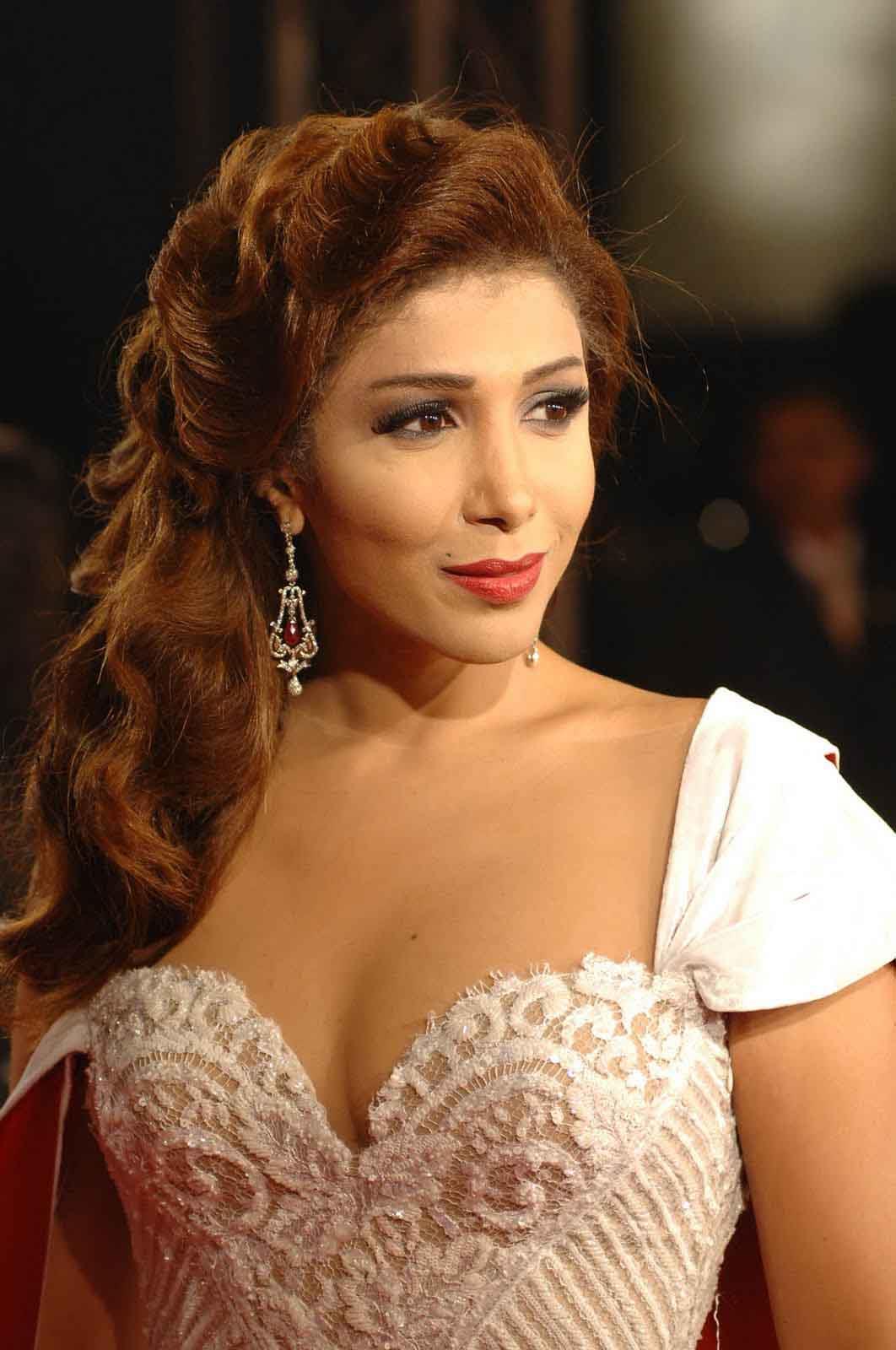 صور للفنانه اروى - اجمل اطلالات للفنانة اليمنية 4496 16