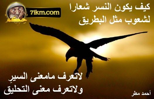 صور امثال بالصور - حكم واقوال رائعة 2894 1