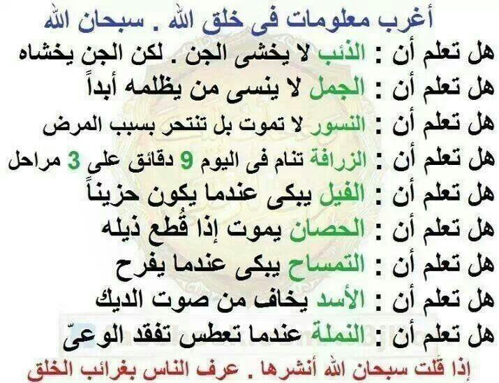 معلومات غريبة قد تكون جديدة عليك