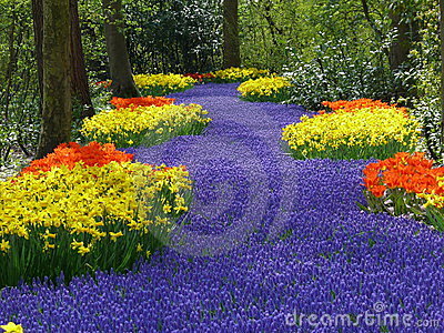 صور حديقة Keukenhof - اجمل المناظر الطبيعية في هولندا 2709 3