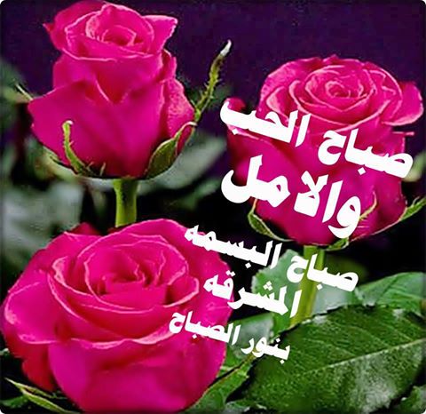 صباح الخير صور روعه - صور صباح الخير جميلة 842 1