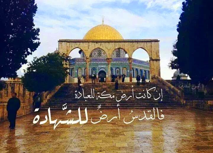 صور القدس - اجمل صور المسجد الاقصى 15851 8