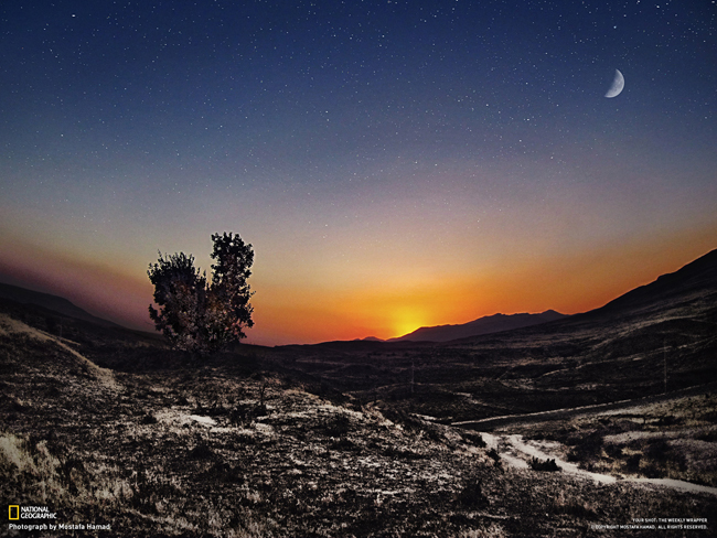 مسابقة التصوير الفوتوغرافي