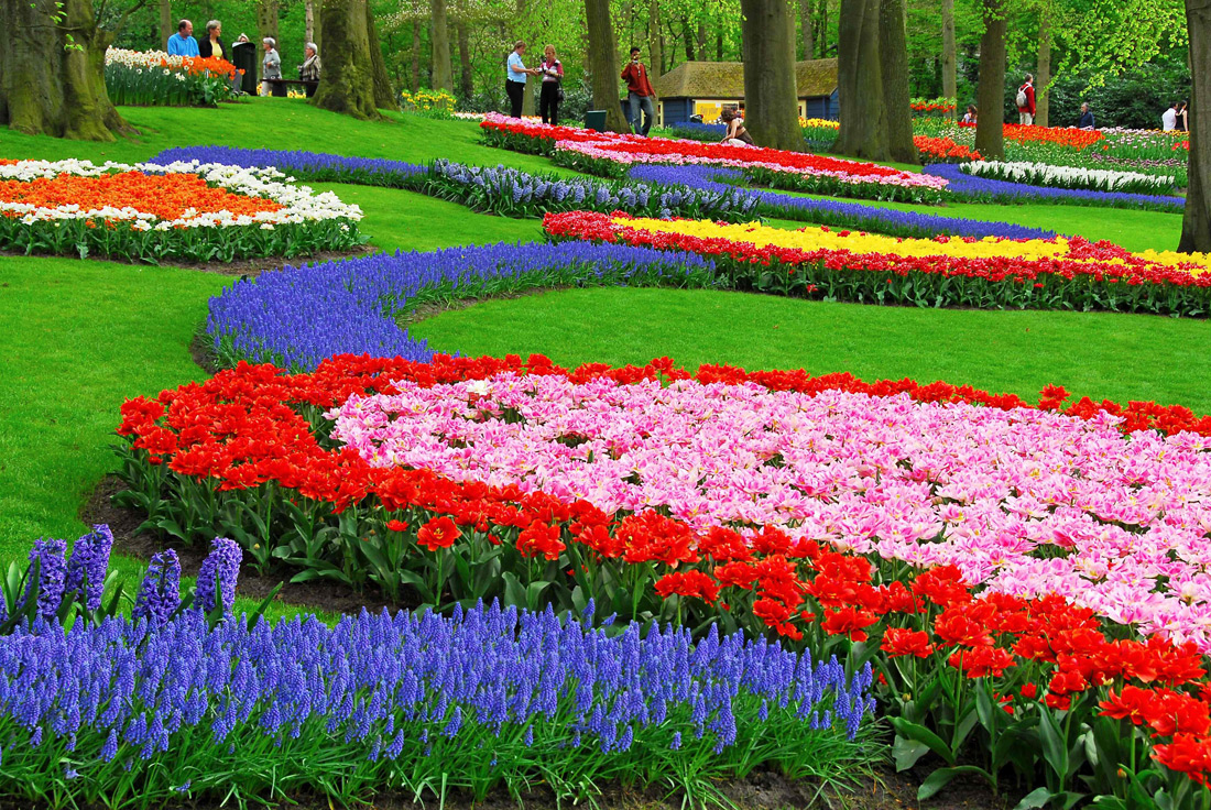 صور حديقة Keukenhof - اجمل المناظر الطبيعية في هولندا 2709 2