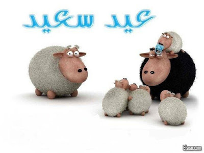 صور خروف عيد الاضحى المبارك - صور بطاقات معايدة 217 13