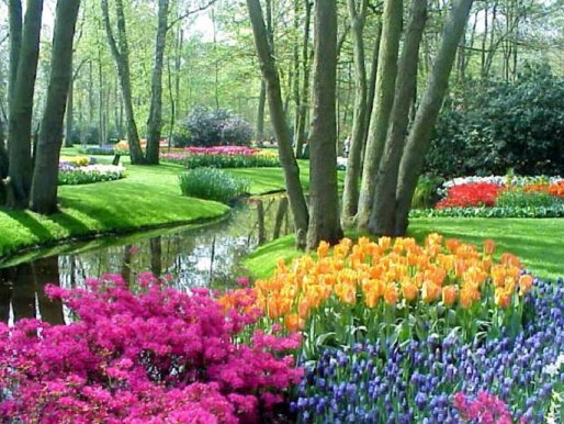 صور حديقة Keukenhof - اجمل المناظر الطبيعية في هولندا 2709 5