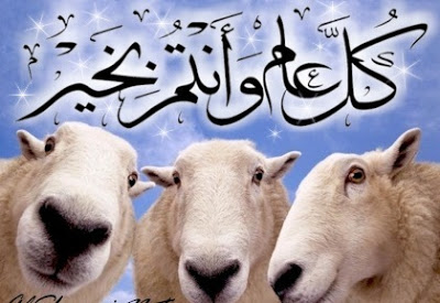 صور خروف عيد الاضحى المبارك - صور بطاقات معايدة 217 12