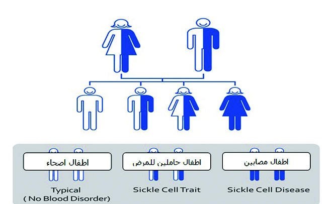 فحص طبي قبل الزواج - اهميتة البالغة في تجنب كثير من الامراض 3167 4