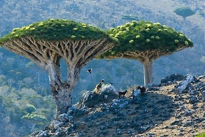 اغرب الاماكن على وجه الارض - صور اماكن غريبه جدا 1425 1