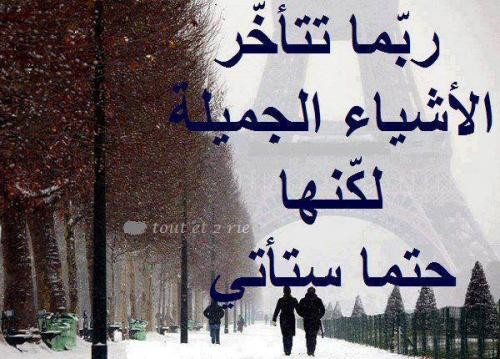 صور امثال بالصور - حكم واقوال رائعة 2894 2