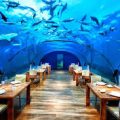 943 10 مطعم تحت الماء - صور مطعم تحت الماء تفيده سعد