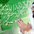 3514 3 صور بمناسبة اليوم الوطني - احتفالات المملكة السعودية هاندة بنان