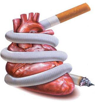 3586 9 من فضلك ممنوع التدخين - للمحافظة علي قلبك زهرة البستان