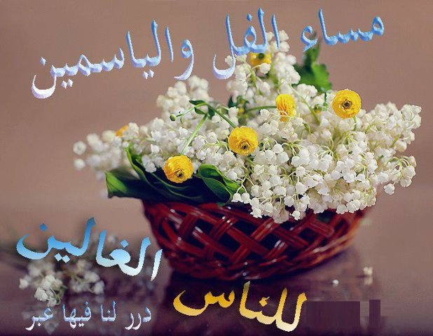 للتعبير, الحب, و فل, و رد, الزهور, هديه, و ياسمين, عن, احلى - Alt 4