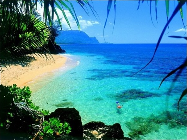 2793 9 صور لجزيرة هاواي - قمة في الروعة والجمال نوجا هيثم
