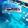 10962 8 اكواريوم دبي مول - تحفة مائية جديدة تنضم لمعالم دبي السياحية نوجا هيثم