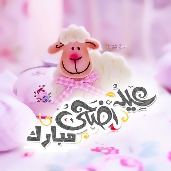 10735 8 كاريكاتير عيد الاضحى - خروف العيد جديد 2020 تفيده سعد